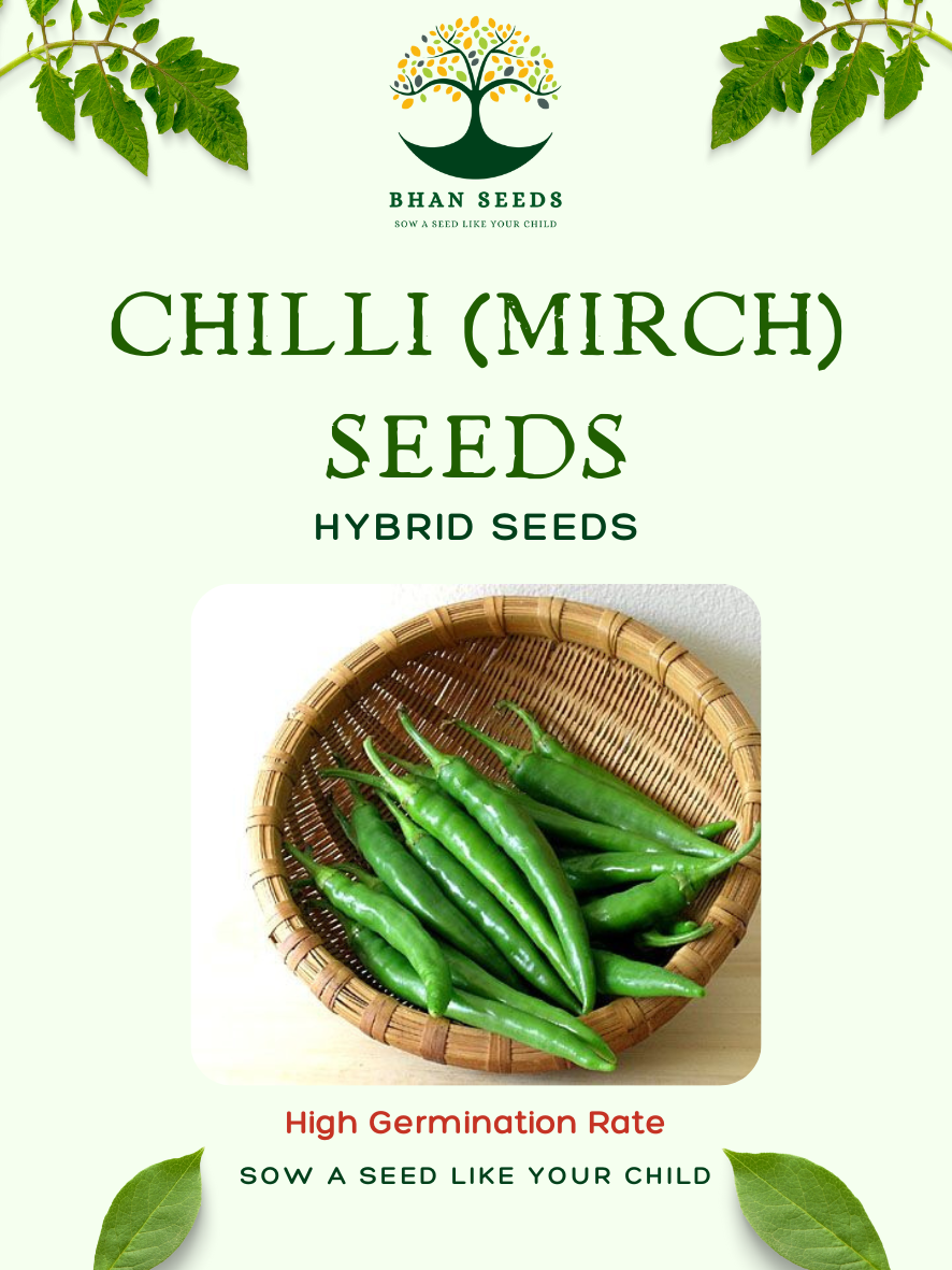 100+ Chilli Seeds ā Spice Up Your Garden & Dishes! š¶ļø