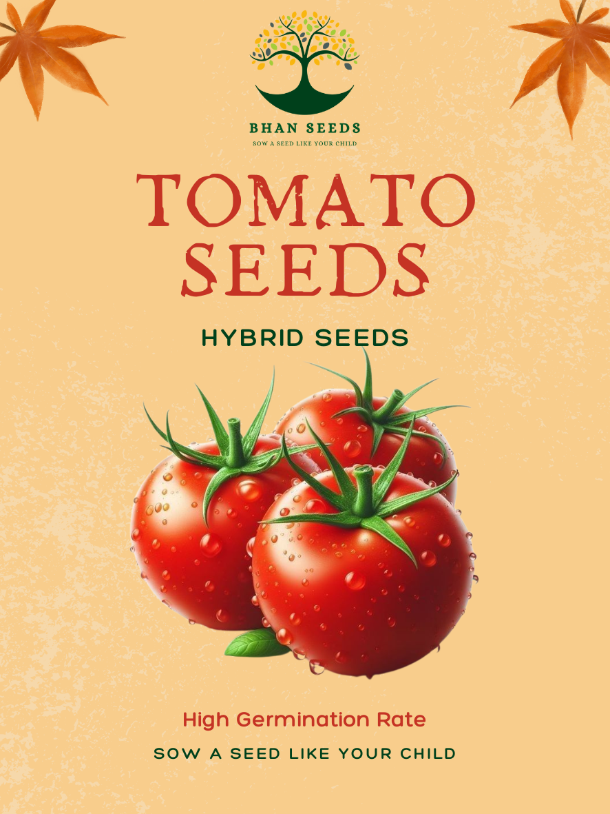 Hybrid Tomato Seeds