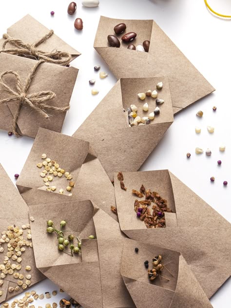 Vegetable Seeds