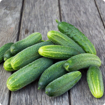 25+ Cucumber Seeds – Refreshing, Crunchy & Hydrating! 🥒