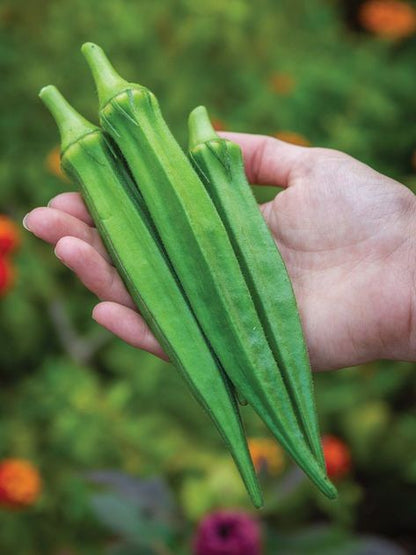 25+ Bhindi (Okra) Seeds – Grow Fresh & Tender Ladyfinger! 🌿
