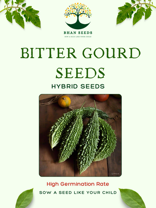 25+ HYBRID Bitter Gourd Seeds (Best For Kitchen Gardening)