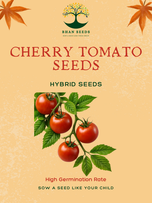 100+ Cherry Tomato Seeds – Sweet, Juicy & Bite-Sized! 🍅