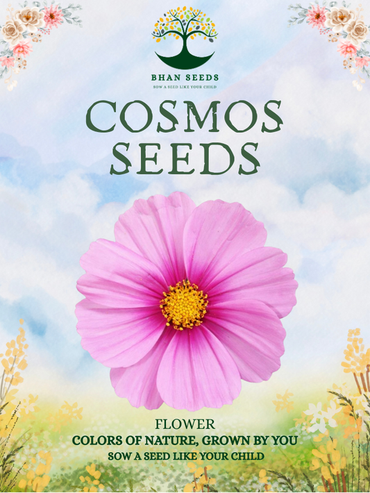 200+ Cosmos Flower Seeds