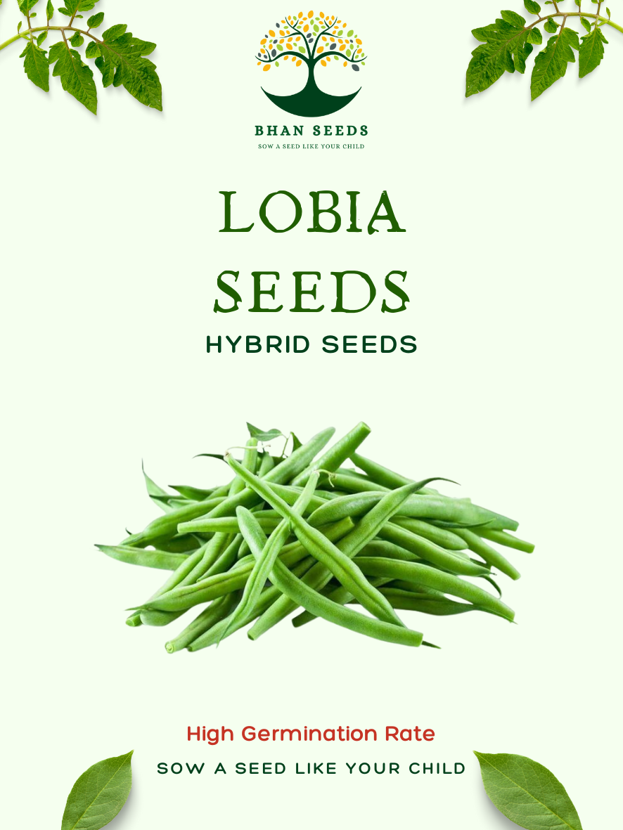 25+ Lobia (Cowpea) Seeds – Protein-Rich & Easy to Grow! 🫘