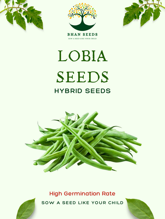 25+ Lobia (Cowpea) Seeds – Protein-Rich & Easy to Grow! 🫘