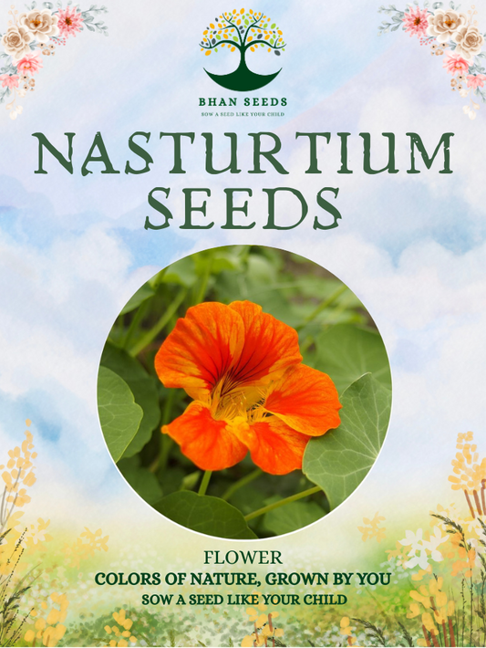 20+ Nasturtium Flower Seeds