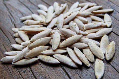 25+ Cucumber Seeds – Refreshing, Crunchy & Hydrating! 🥒