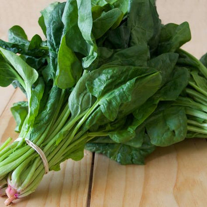 25gm Spinach (Palak) Seeds – Nutrient-Packed & Fast-Growing! 🌿