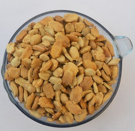25+ HYBRID Bitter Gourd Seeds (Best For Kitchen Gardening)