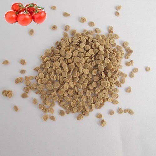 100+ Cherry Tomato Seeds – Sweet, Juicy & Bite-Sized! 🍅