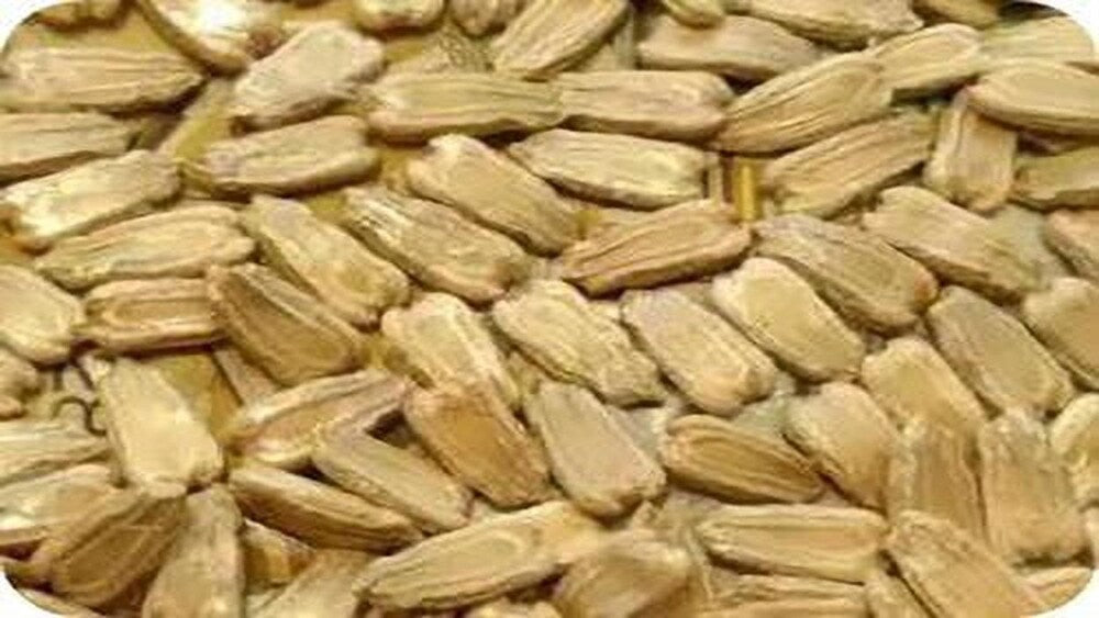 25+ Lauki Seeds (Bottle Gourd) – Grow Nutritious & Hydrating Gourds! 🎋