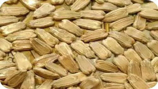 25+ Lauki Seeds (Bottle Gourd) – Grow Nutritious & Hydrating Gourds! 🎋